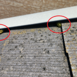 屋根塗装を必要としているスレート屋根の劣化症状｜苔の繁殖・色褪せは塗膜が劣化しているサインです！