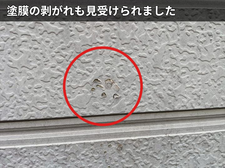 塗膜剥がれの様子