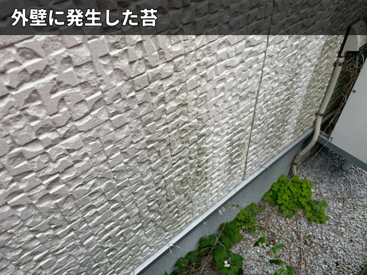 外壁下部の苔付着