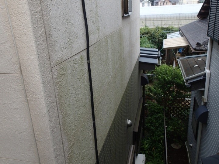苔が発生した外壁