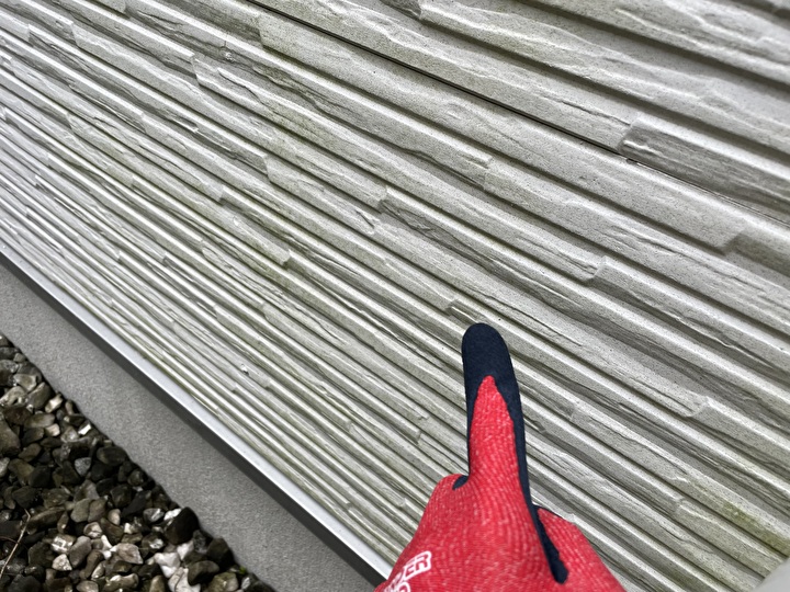 外壁の一部には苔の発生