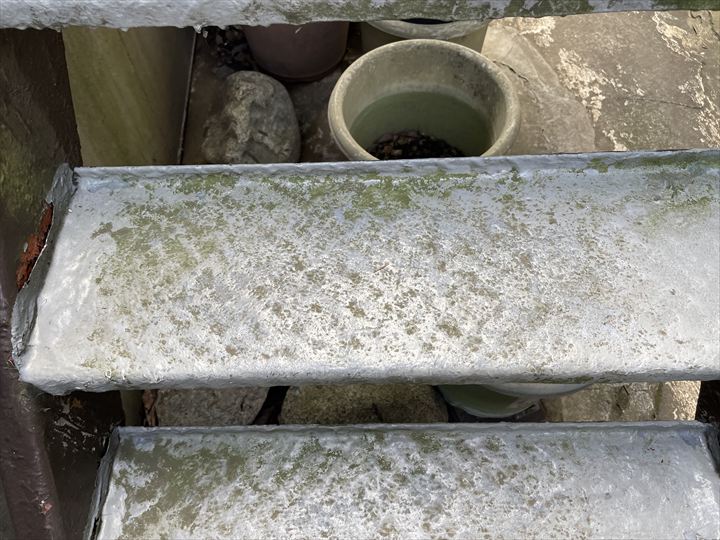 鉄骨階段の藻・苔