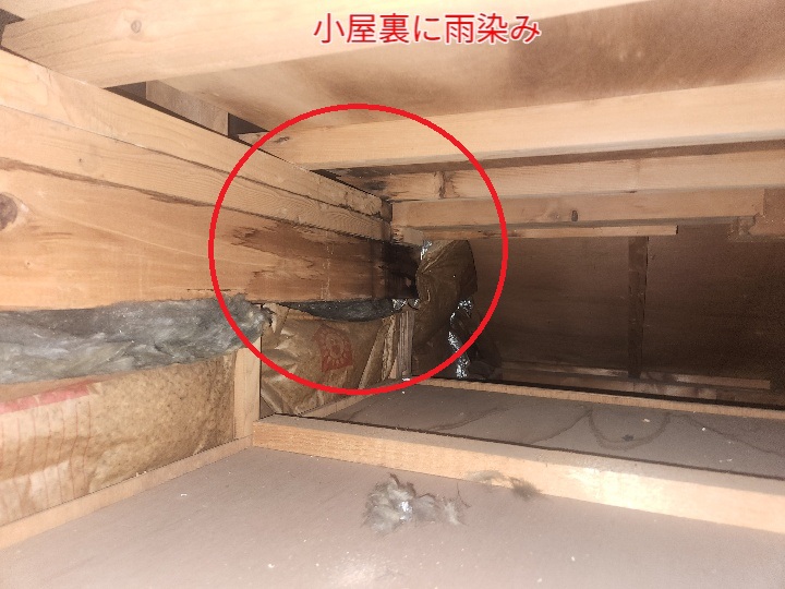 陸屋根からの雨漏り発生！江戸川区西瑞江で行った現地調査の様子
