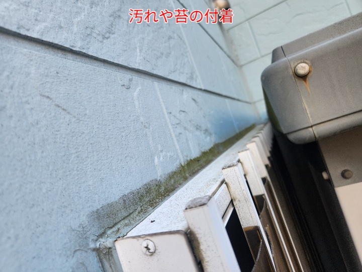 サイディングの汚れや苔の付着