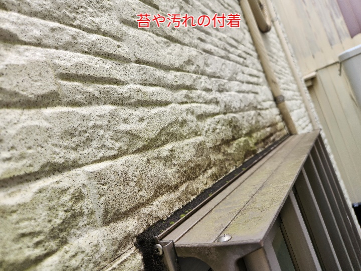 窯業系サイディングに苔や汚れが付着