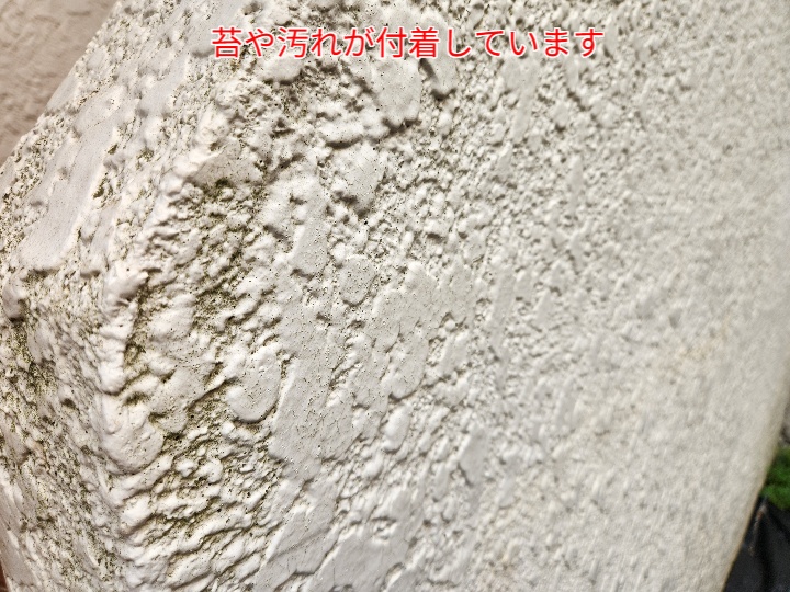 モルタル外壁に苔や汚れが付着