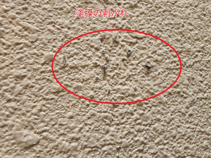 モルタル外壁の塗膜の剥がれ