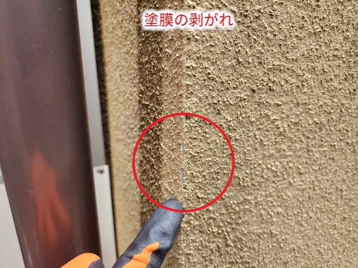 塗膜剥がれの拡大写真