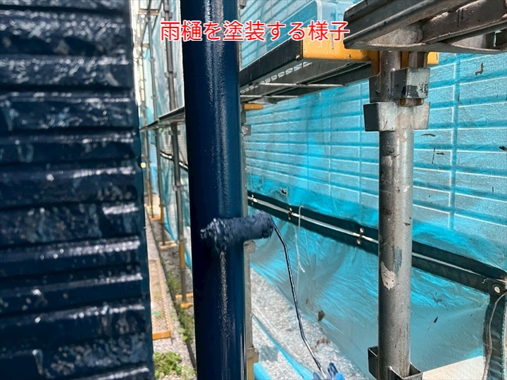 雨樋塗装