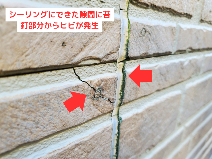 シーリングにできた隙間に苔・釘部分からヒビが発生