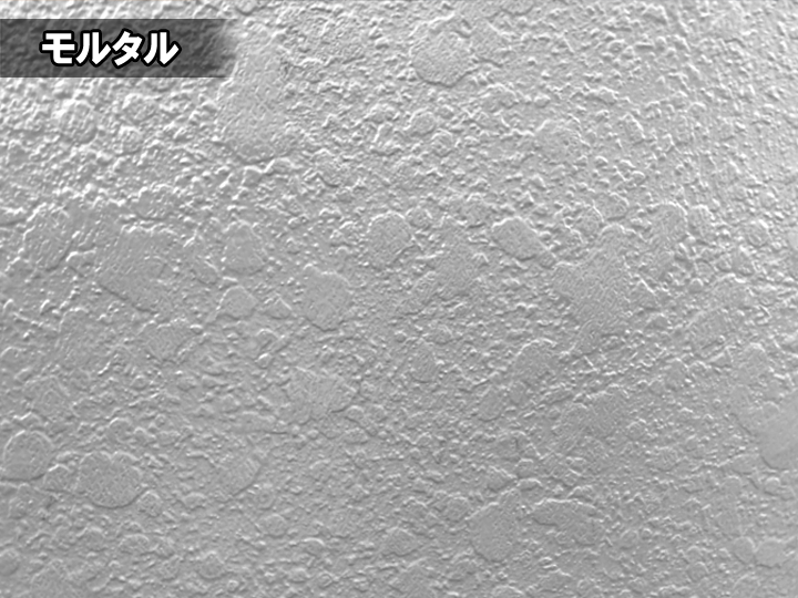 モルタル外壁