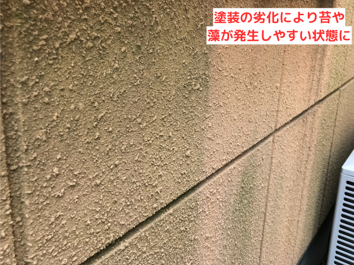 外壁の苔や藻は放置厳禁！高圧洗浄での注意点と塗装工事のすすめ