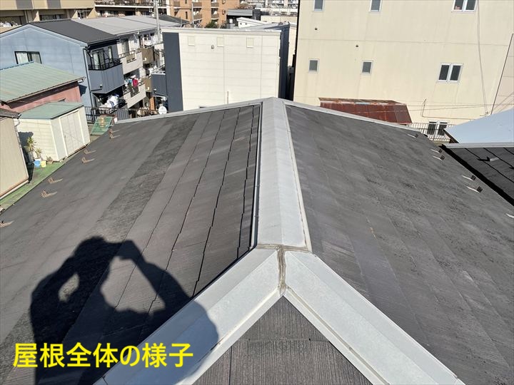 屋根全体の様子