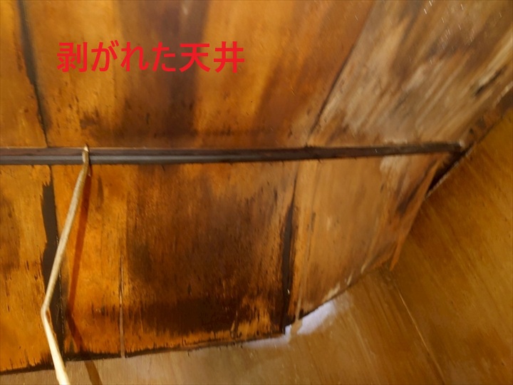 剥がれた天井
