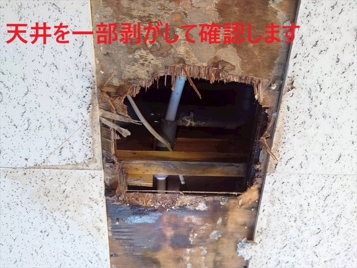 天井を剥がして確認