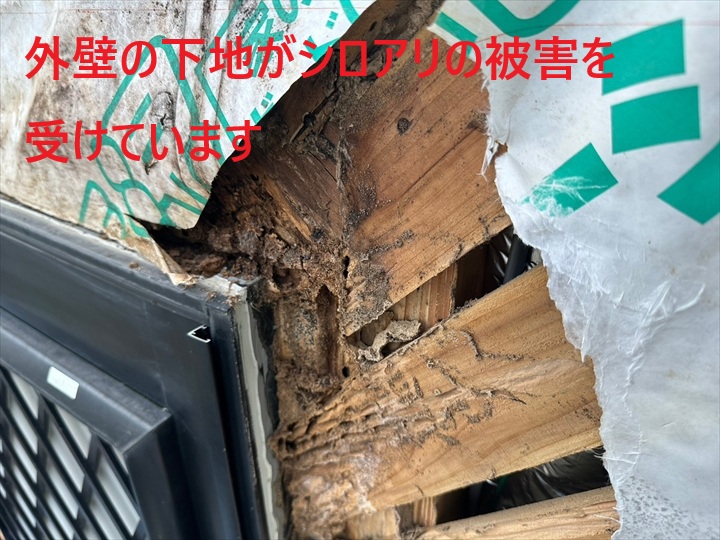 【町田市玉川学園】サイディング直張り工法の外壁で下地の腐食が発生！シロアリ被害と補修の実態