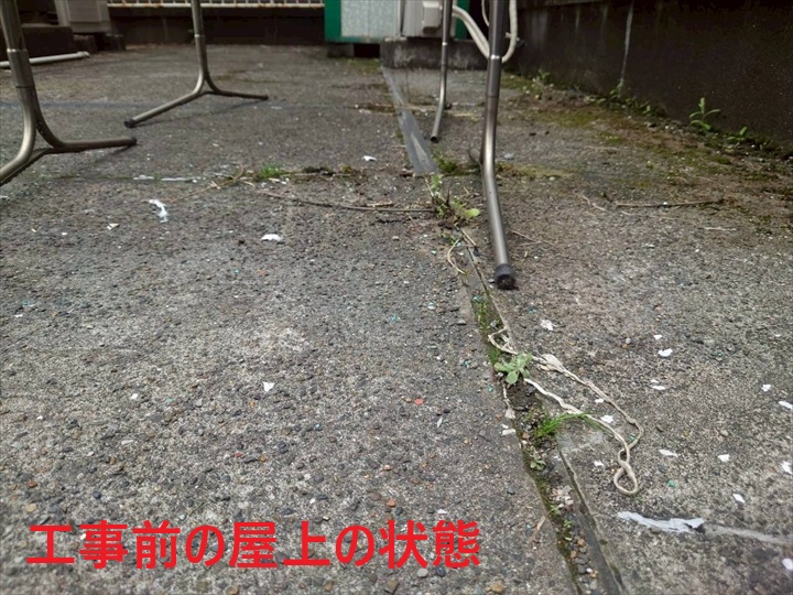 ひび割れと雑草の屋上