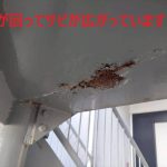 世田谷区成城で撮影された鉄骨階段の劣化事例から解説｜鉄骨階段のサビ止めと正しいメンテナンス方法