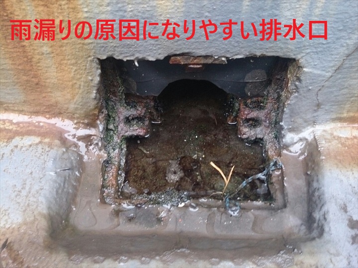 排水口