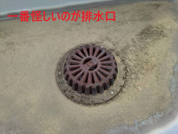 排水口回り