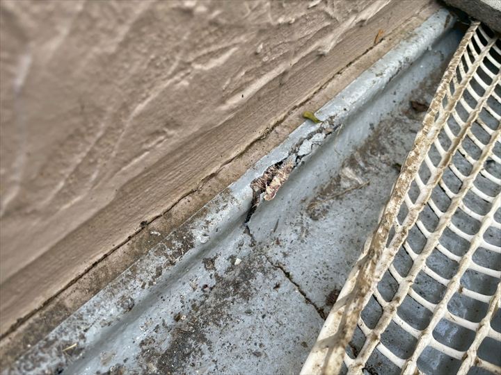 既存の防水層に割れが見受けられました②