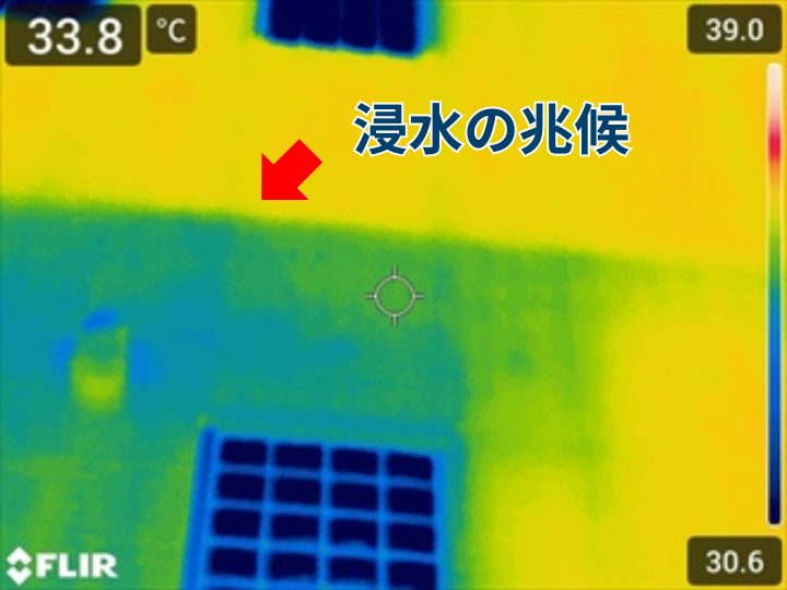 赤外線カメラで撮影