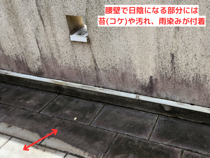 板橋区中台｜ルーフバルコニーの腰壁に注意！クラックやコケ・雨染みが発生しやすい原因と対策