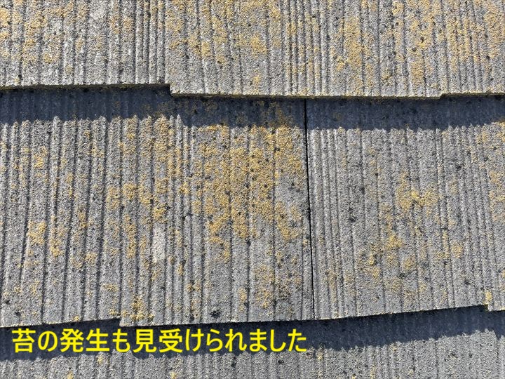 杉並区荻窪でスレート屋根を調査し色褪せ・苔・棟板金シーリング劣化を確認した屋根塗装点検