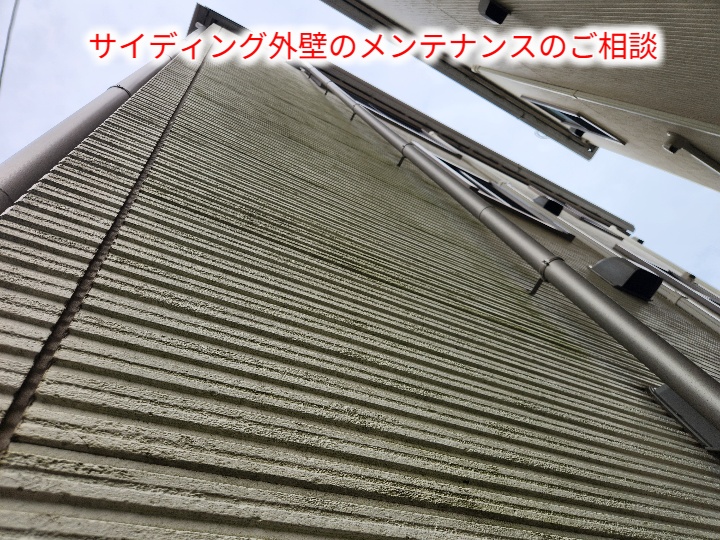 サイディング外壁の全景