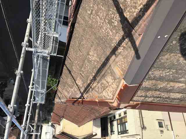 名古屋市南区にて台風被害による屋根補修工事