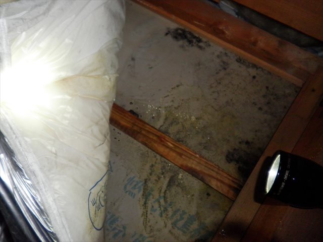 屋根裏の雨漏り