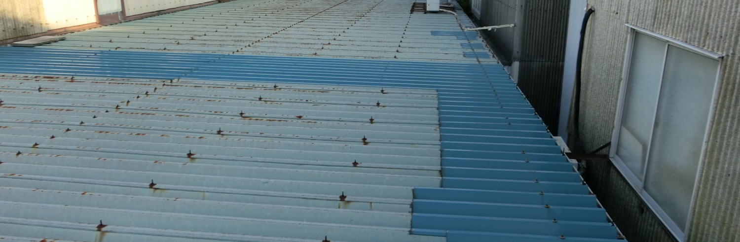 愛知県東海市にて雨漏りする工場の折板屋根を現場調査｜工場オーナー様必見の雨漏り対策
