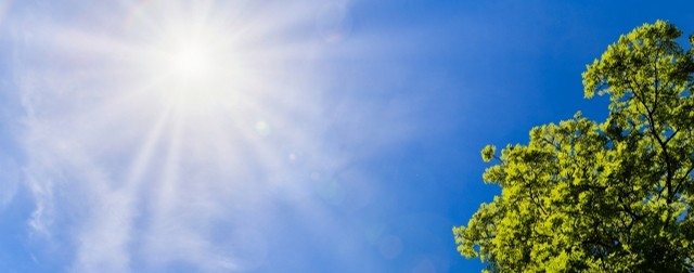 夏の暑さ