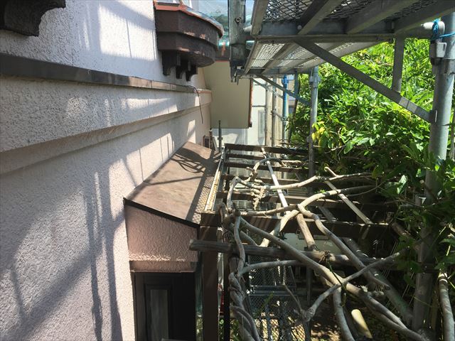外壁に葉っぱ除去