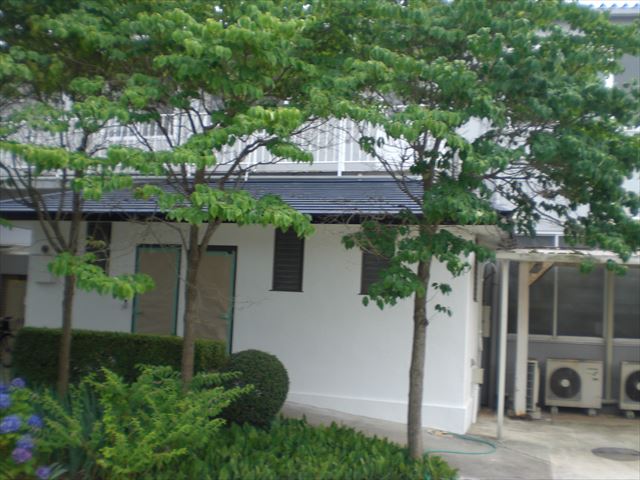 全体像