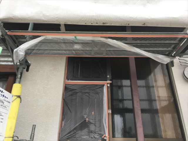 養生