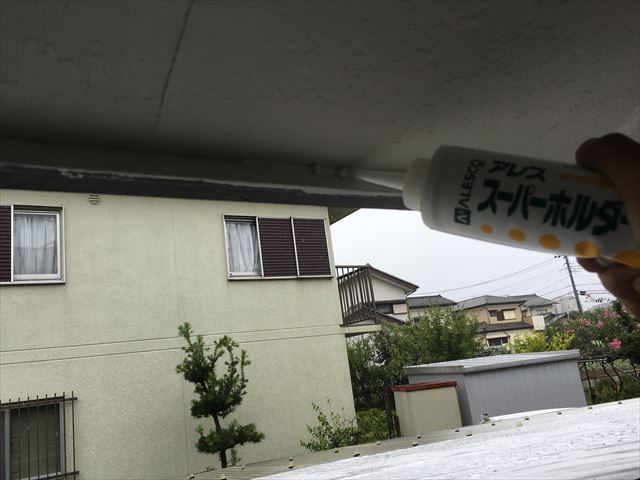 アレスス-パ-ホルダ-G