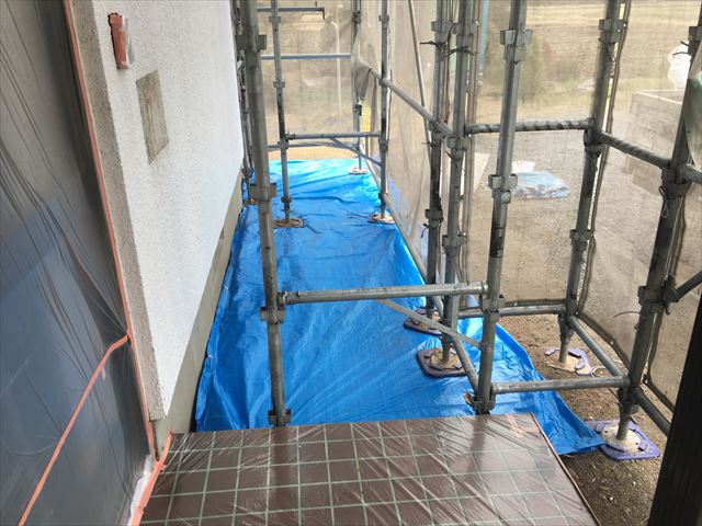 養生