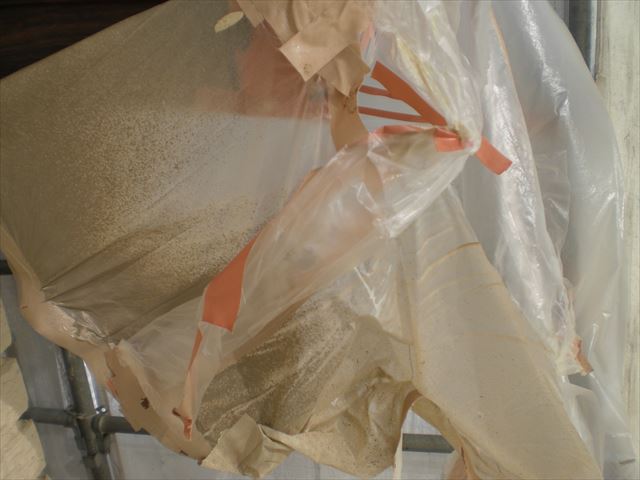 養生剥がし