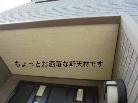 センチュリーホーム軒天