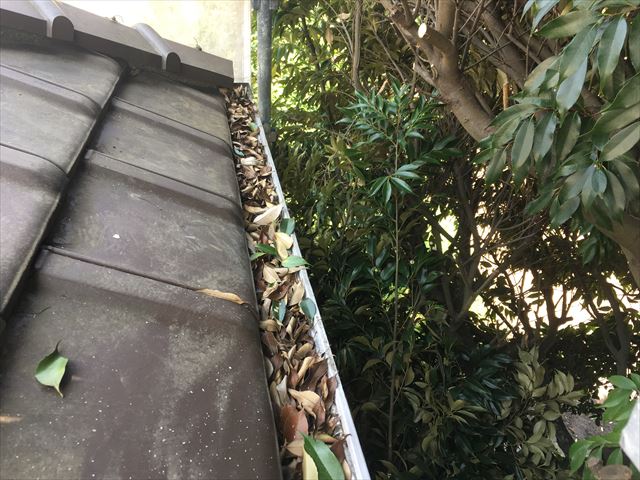 軒樋に葉っぱ詰まり