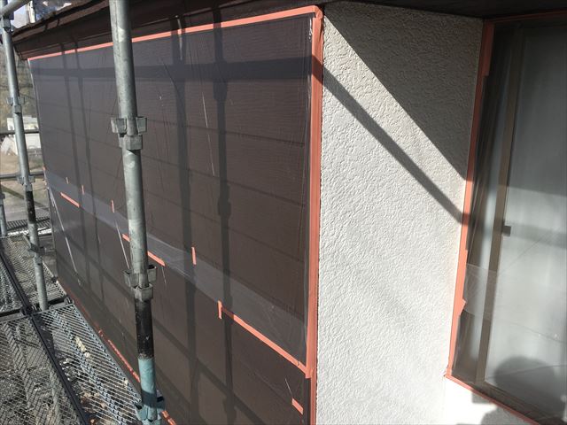 養生