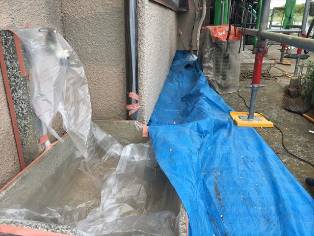 養生