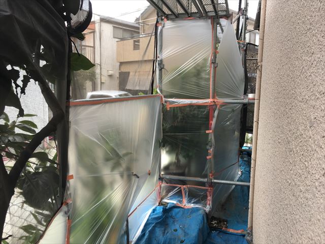 養生