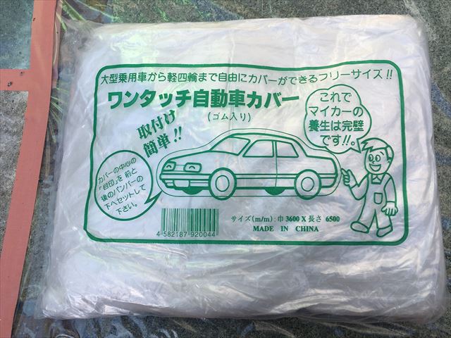 養生