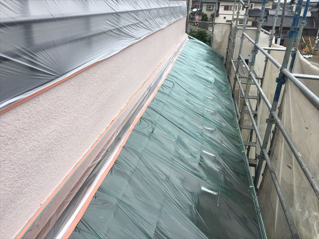 養生