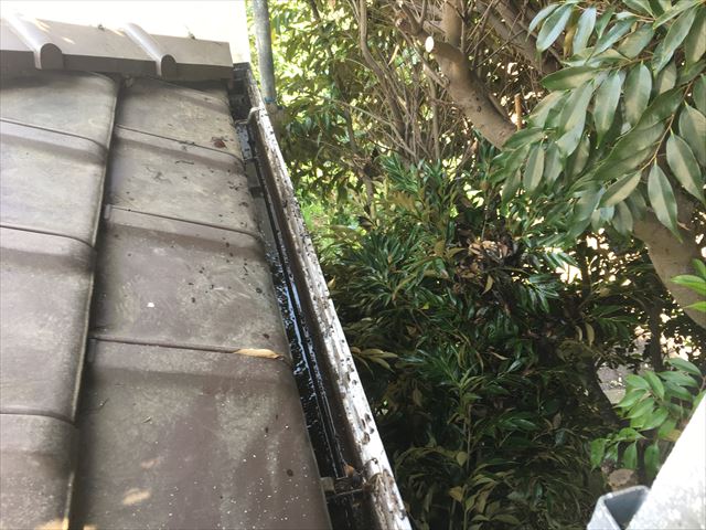 軒樋に葉っぱ詰まり除去