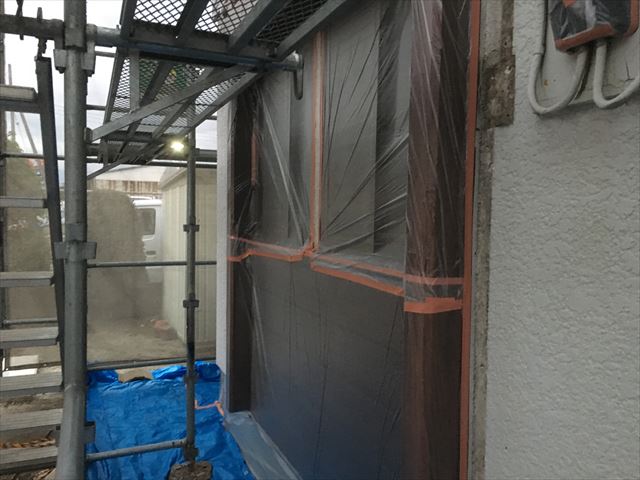養生