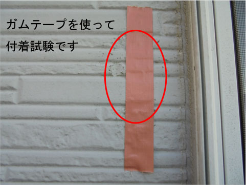 水戸市 サイディング 塗り替え