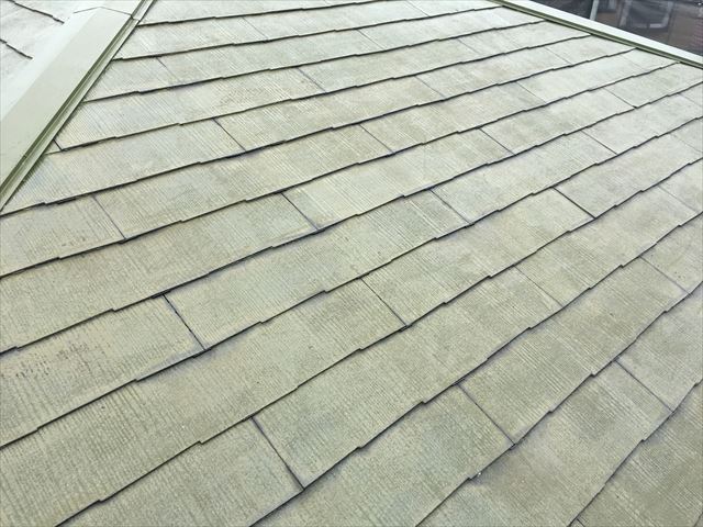 ヤネフレッシュＳi
